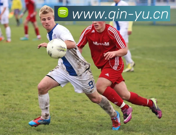 多媒体互动体验